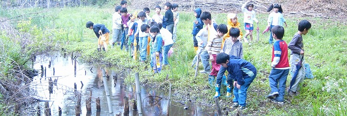 秋葉の森総合公園 写真