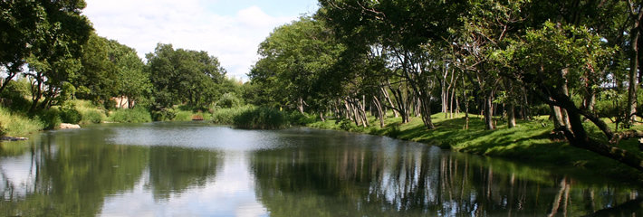 河跡湖公園 写真