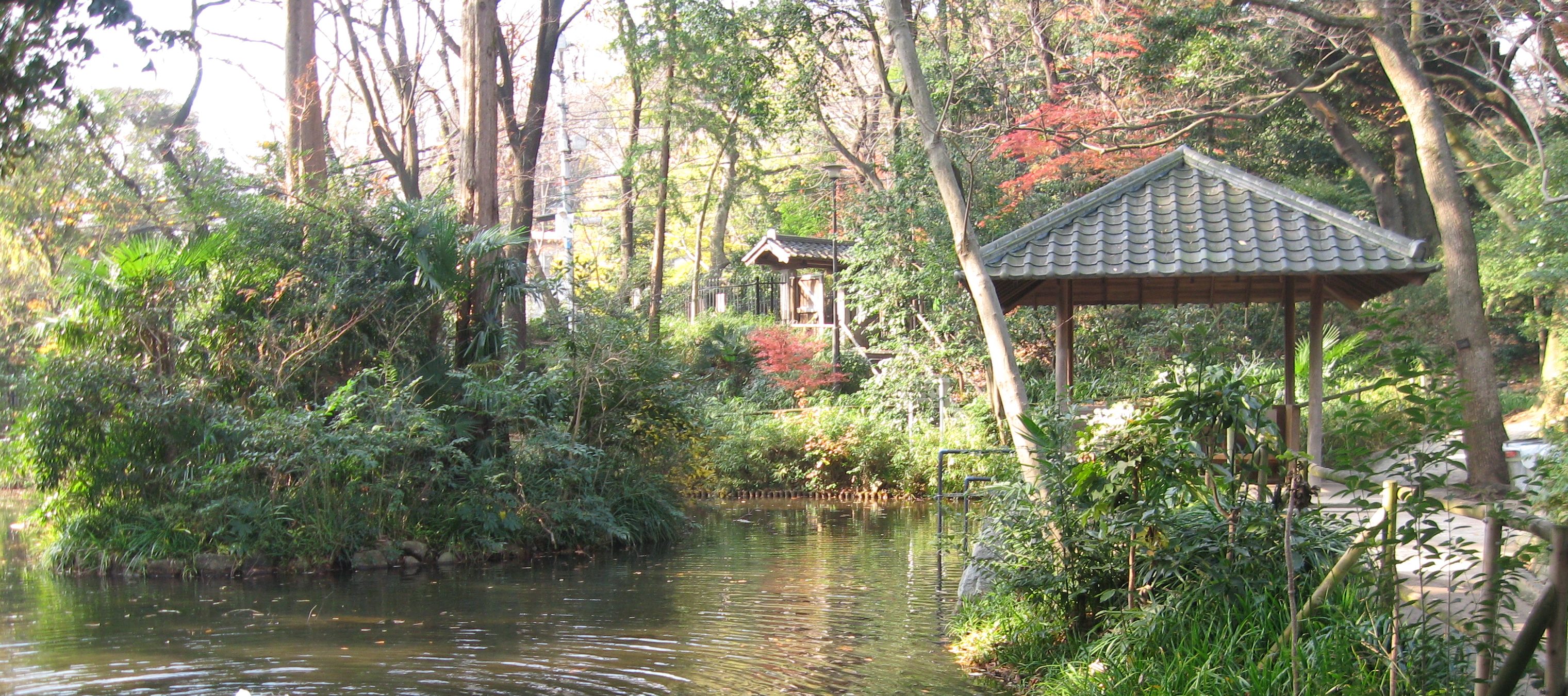 新宿区立おとめ山公園 写真